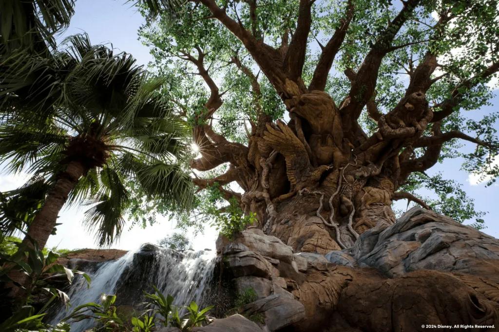 Looking up at the Tree of Life at Disney's Animal Kingdom 