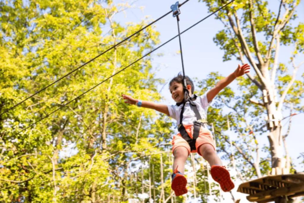 Little boy on zip line dangling in the tree tops held by harness. He has a smile on his face and his arms reaching out wide.