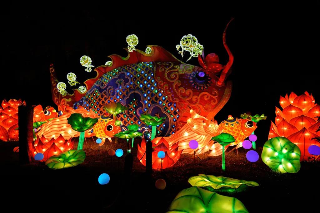 Dark night with pretty bright light decorations lighting up. There is a giant goldfish with patterns on, lights shaped like fire and giant leaves.