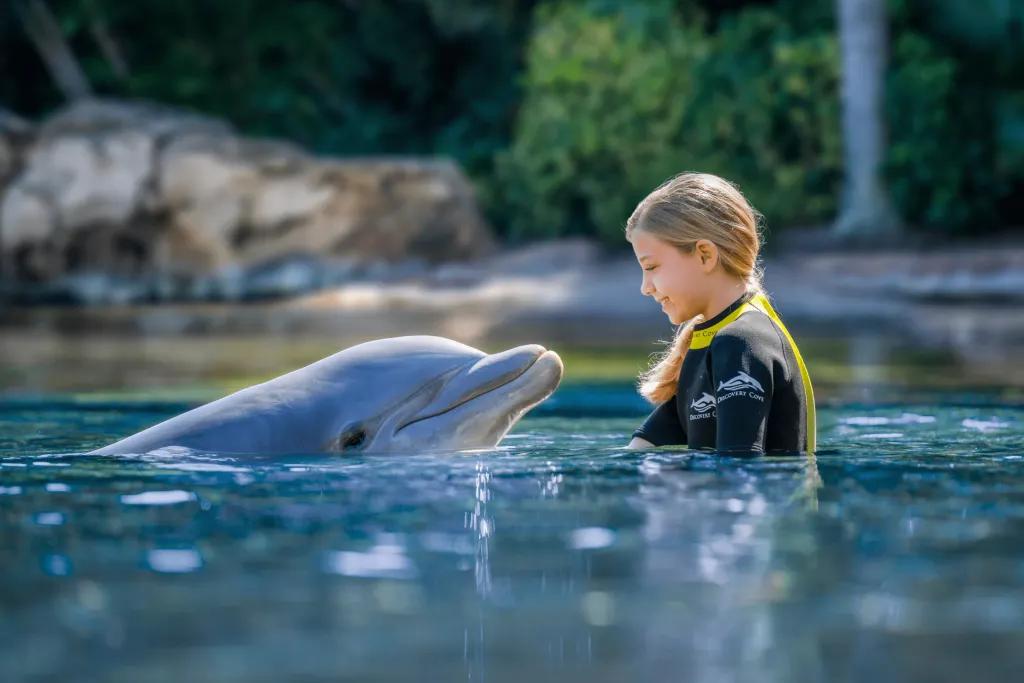 Young girl in pool with a dolphin looking up at her. She is smiling.