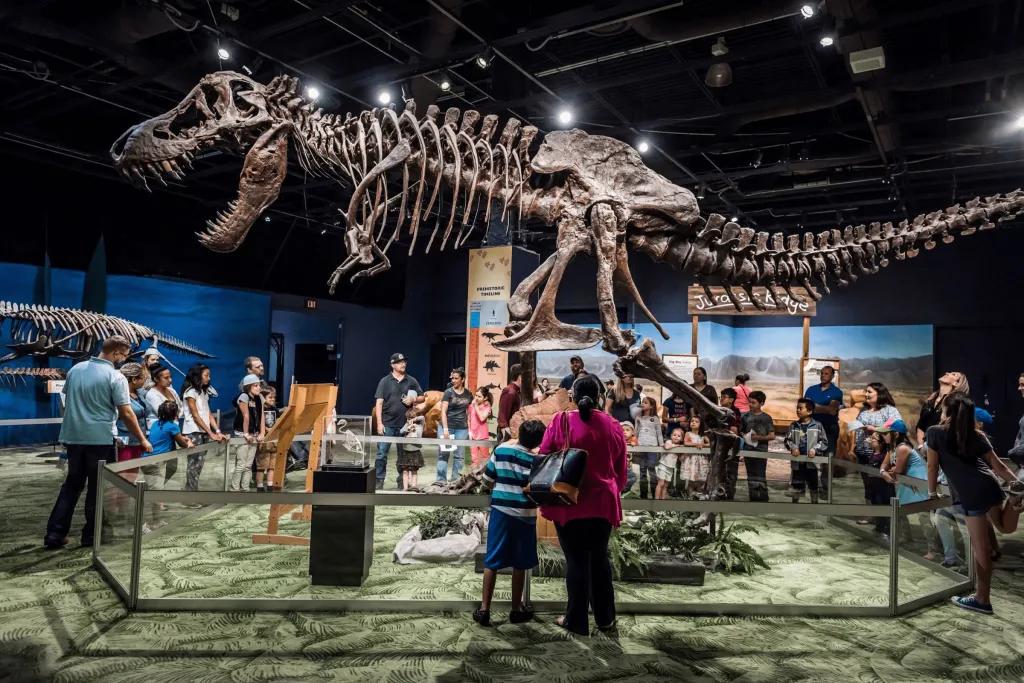 Group of people looking up at dinosaur (specifically T-Rex) skeleton stood up roaring.