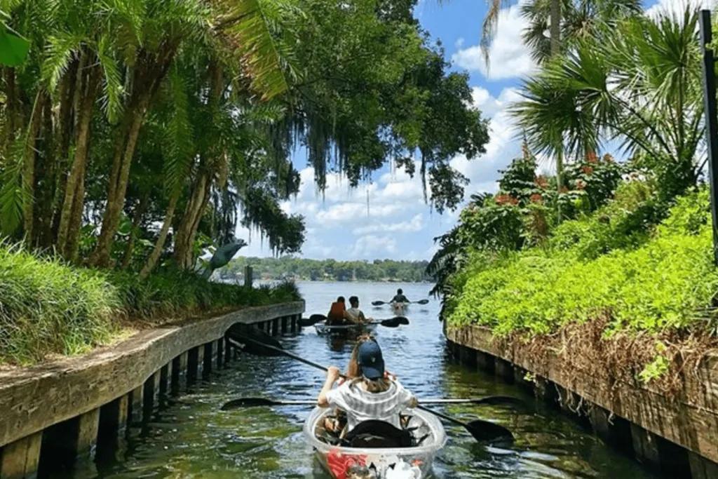 People kayaking in twos out on lake with trees either side.