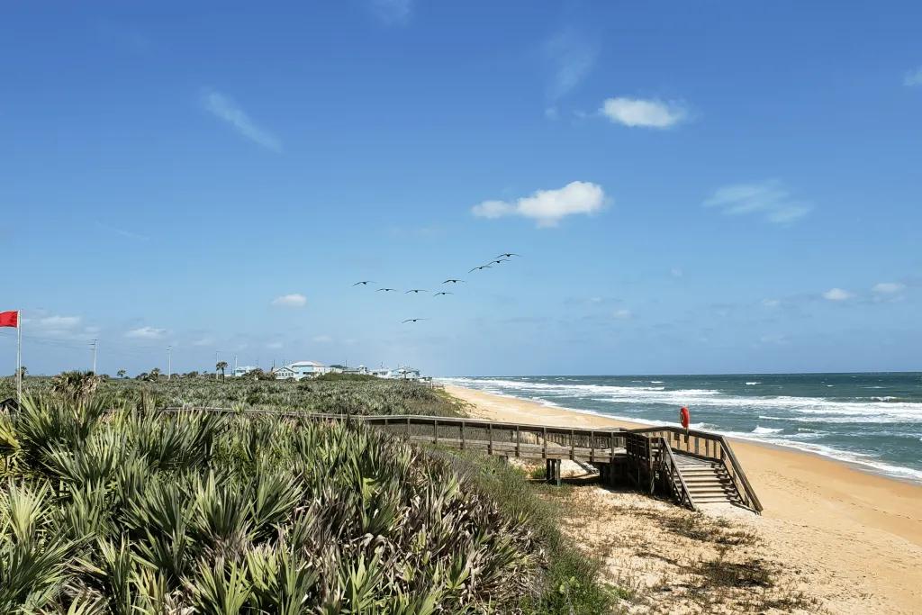 A long, empty white and golden sand beach with birds flying over in a formation and the blue sea.