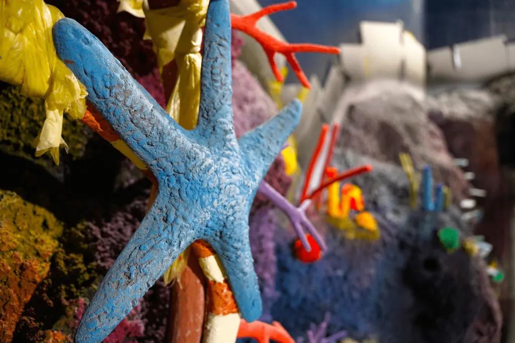 Starfish on the wall of aquarium with multicolour sea creatures.