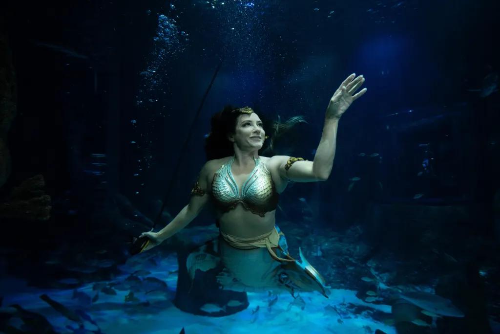 Mermaid swimming in a dark tank with sea creatures swimming around.