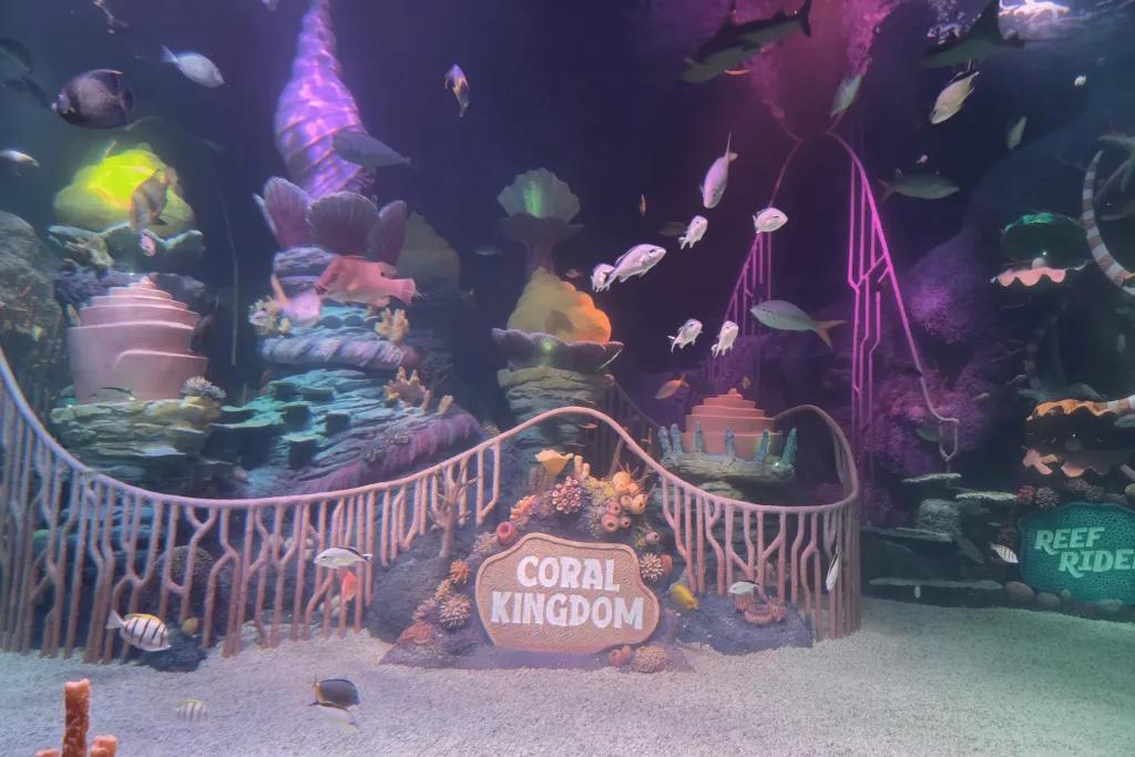 Aquarium tank with decorations in it with colourful coral reefs and a sign saying Coral Kingdom.