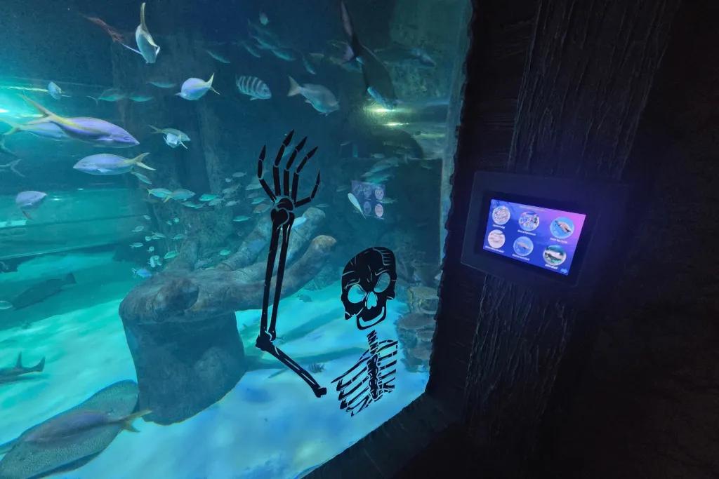 Skeleton stuck on aquarium glass with fishes swimming in the background.