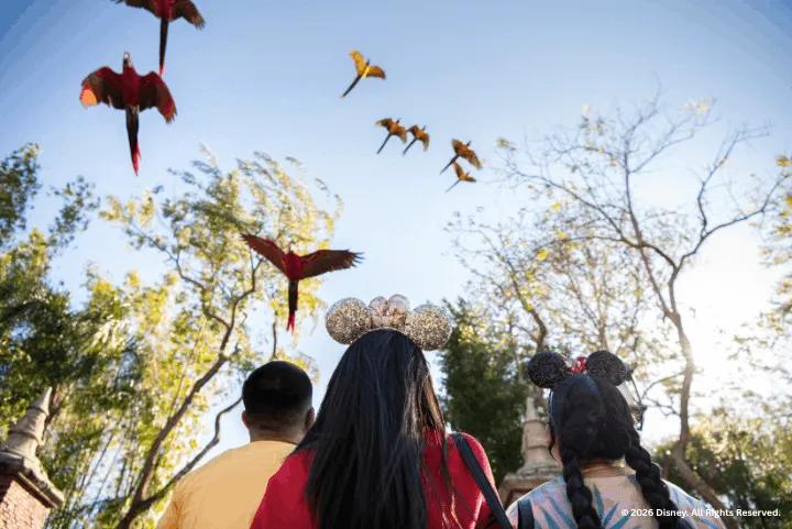 A family at Disney's Animal Kingdom Theme Park looking up and watching parrots flying over them