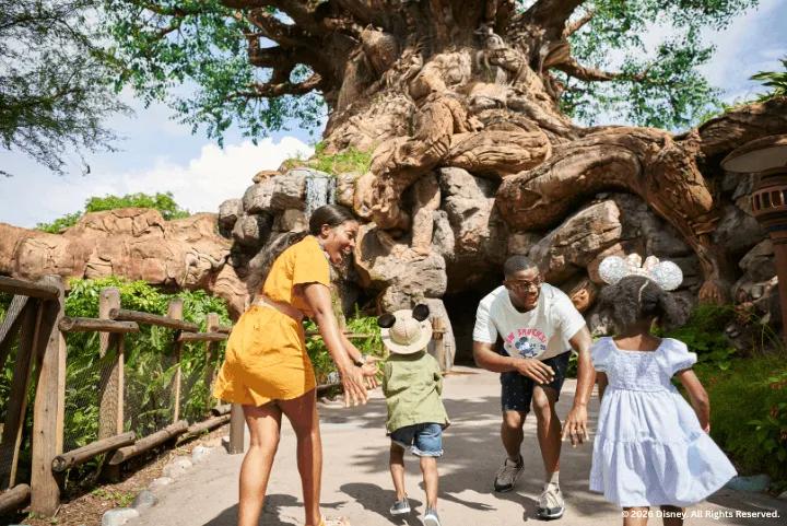 Guests at Tree of Life, Disney’s Animal Kingdom Theme Park