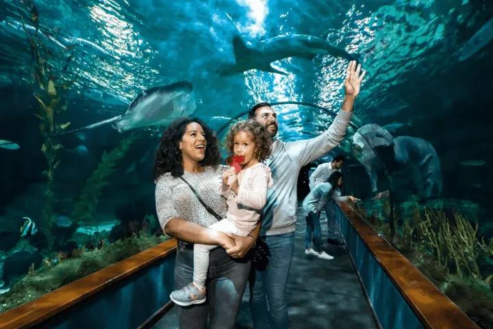 Family at an aquarium at Loro Parque