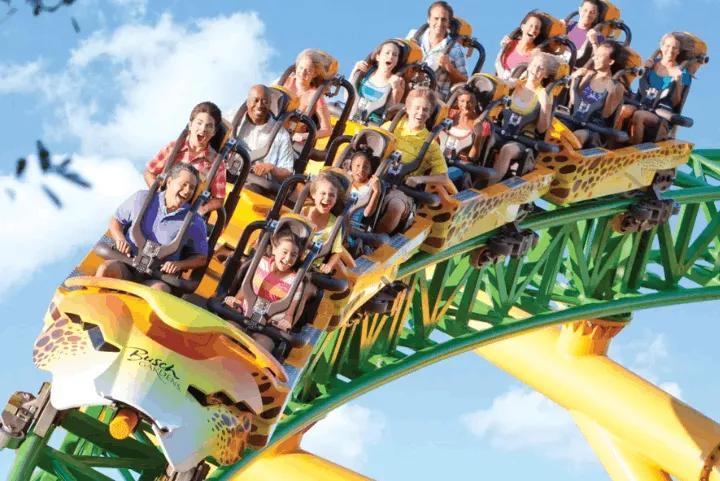 Cheetah Hunt ride at Busch Gardens Tampa Bay