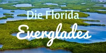 Naturwunder Everglades - Schalten Sie vom Alltag ab