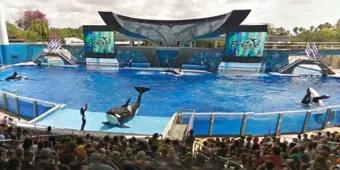 What's Hot - SeaWorld Parks and Entertainment