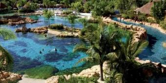 Ein romantisches Erlebnis im Discovery Cove Orlando
