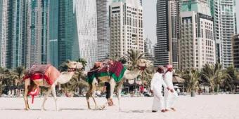 Wann fliegt man am besten nach Dubai?
