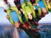 Der Hulk kommt zurück – noch stärker und gewaltiger!