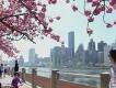 New York im April