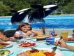 SeaWorld’s Dine with Shamu Experience is Back!