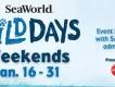 Wild Days in SeaWorld Orlando!