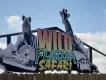 wild florida safari 