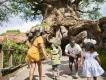 A woman and man with two young children walking towards a large tree with animals carved into its trunk