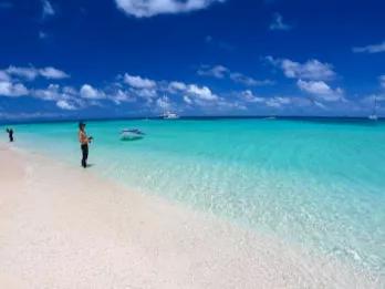  Luxury Ocean Spirit Cruise to Michaelmas Cay