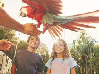Two children being shown a brightly coloured parrot 
