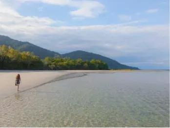 Cape Tribulation and Daintree Wilderness from Port Douglas