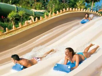 Naga Racer im Siam Park
