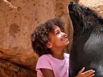 Sea Lion Meet & Greet at Atlantis Dubai