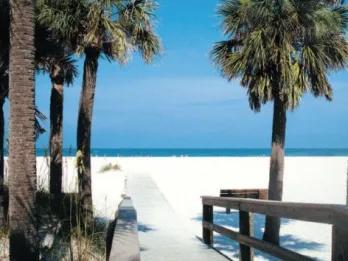 Gray Line Orlando Clearwater Beach Tours