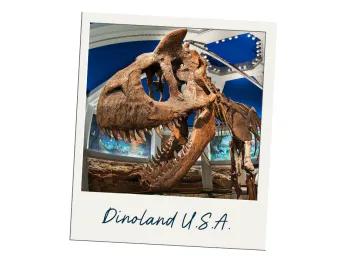 Polaroid image of fossils of dinosaur. Contains the dinosaur head skull and its spine. There is a label saying "Dinoland U.S.A."