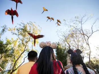 A group of friends looking up at parrots flying overhead