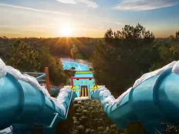 Two racing water slides at Disney's Blizzard Beach