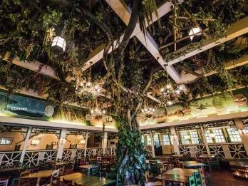 The lush interior of Colonel Hathi's Outpost Restaurant at Disneyland Park, featuring a towering jungle tree stretching to the ceiling, tropical foliage, warm lantern lighting and Jungle Book-inspired murals along the walls