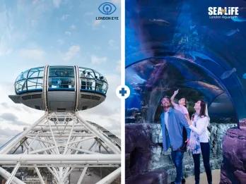 London Eye and Sea Life
