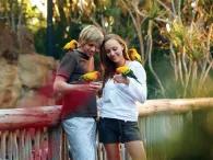 Explorer’s Aviary