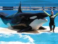 Miami Seaquarium with Transport