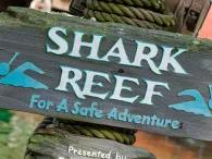 Shark Reef