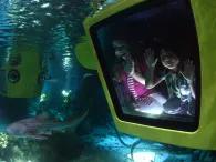 Submarine Adventure