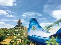 Volcano Bay Honu