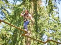 person-in-the-tree-tops