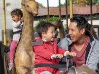 family-on-carousel