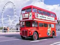 Bus-Tour