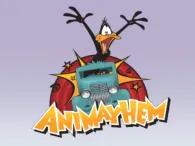 Ani Mayhem