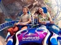 Manta Coaster