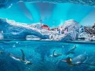 SeaWorld Yas Island Abu Dhabi