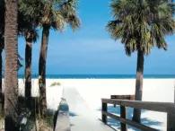 Gray Line Orlando Clearwater Beach Tours