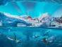SeaWorld Yas Island Abu Dhabi