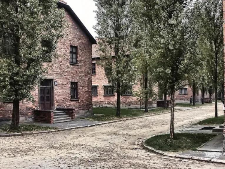 Auschwitz and Wieliczka Salt Mine in One Day